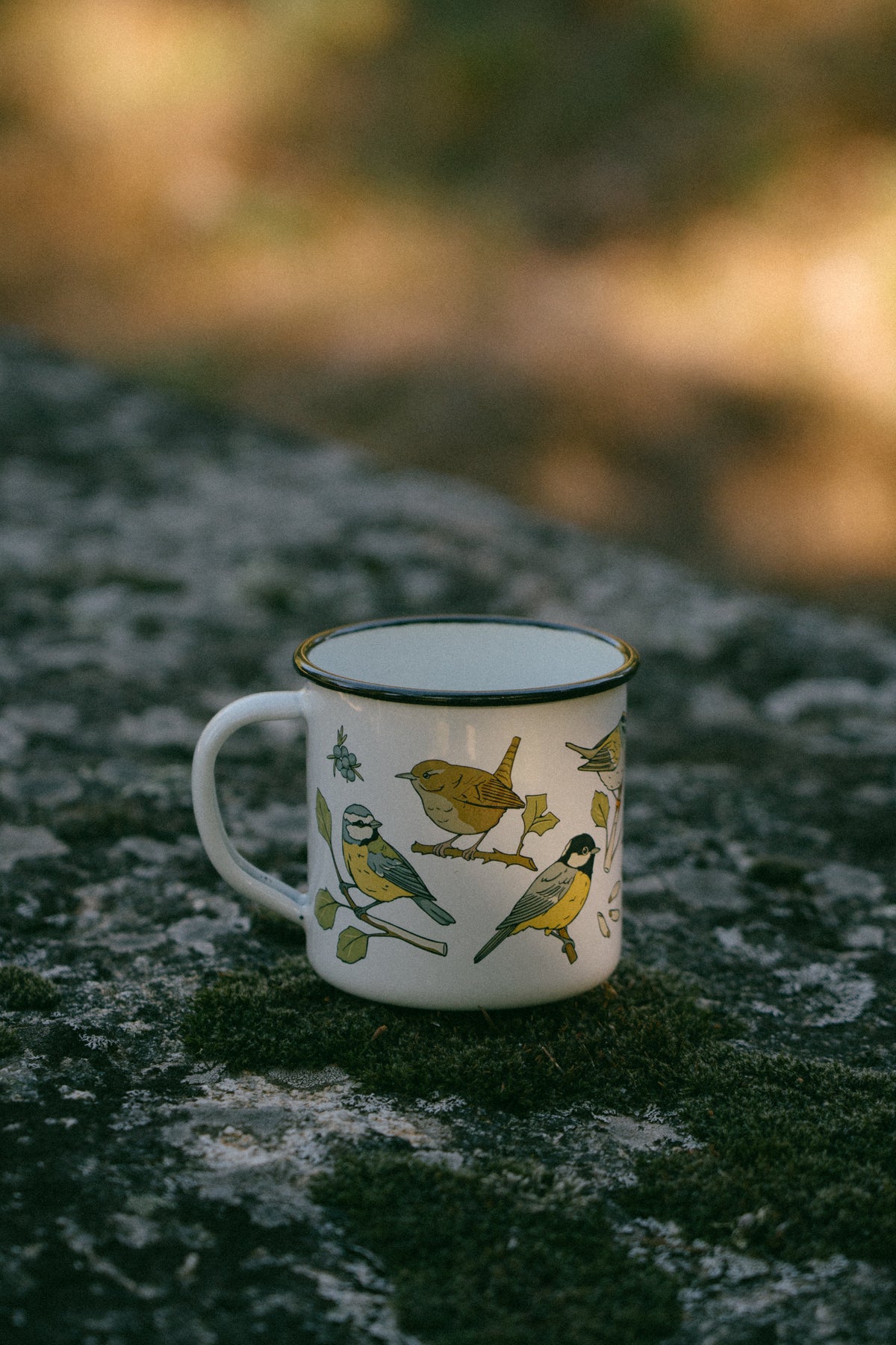 Taza de acero pequeños paseriformes
