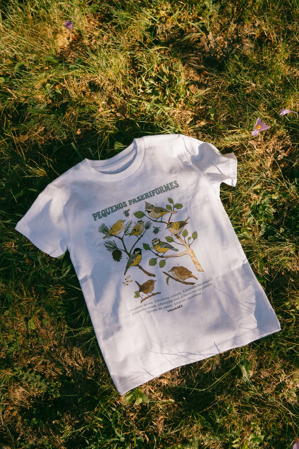 Camiseta pequeños paseriformes. Mini