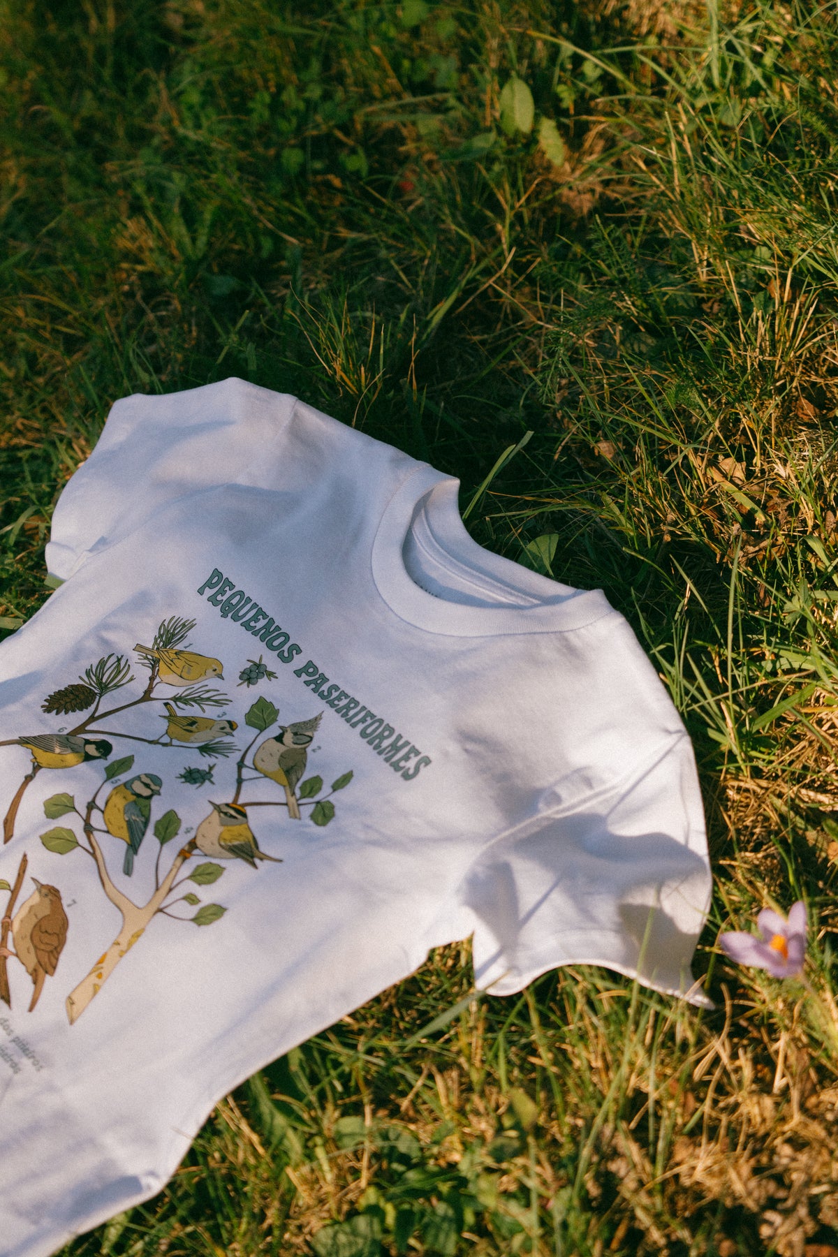 Camiseta pequeños paseriformes. Mini