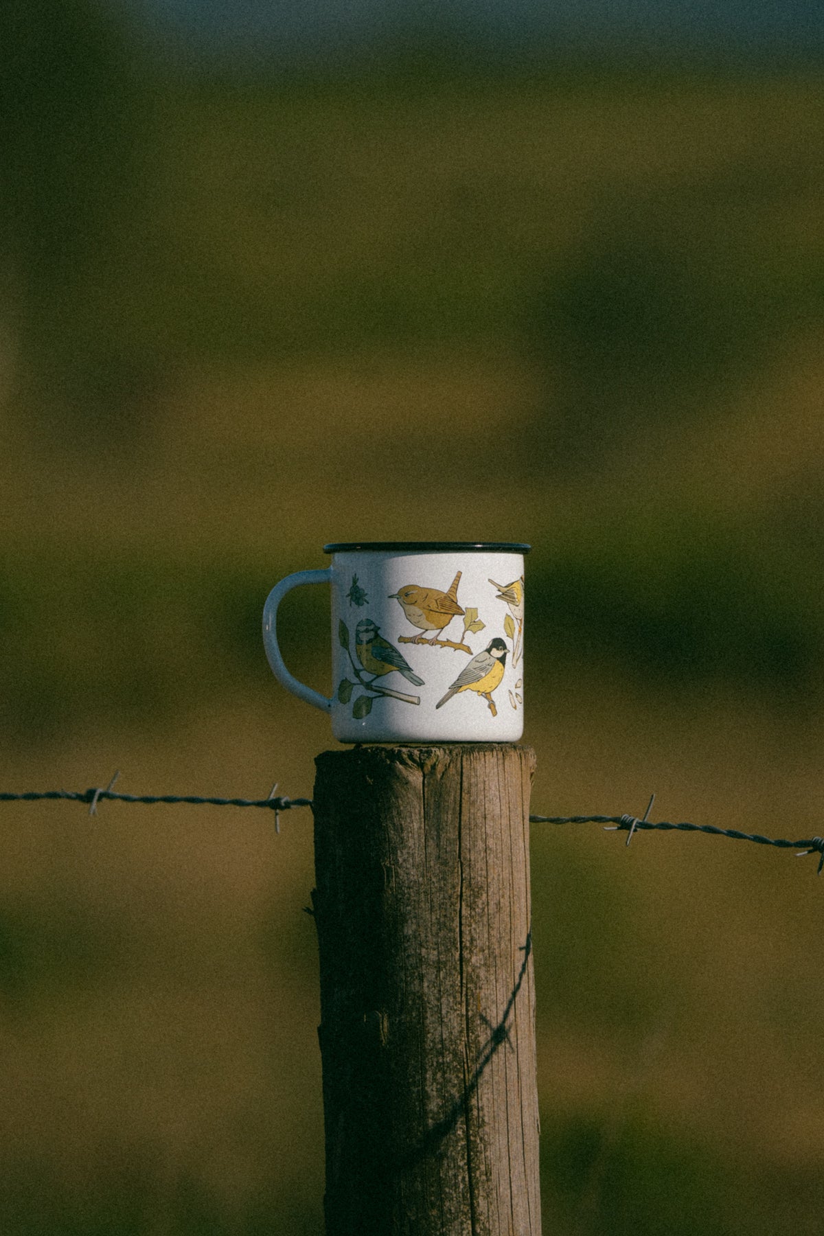 Taza de acero pequeños paseriformes