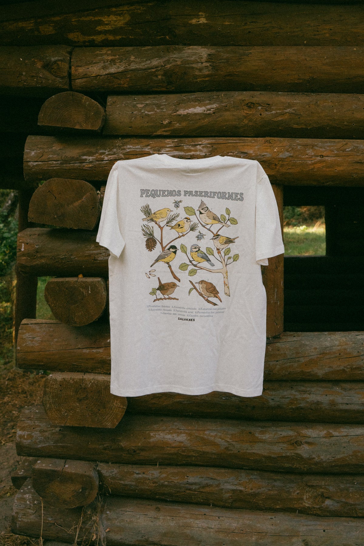 Camiseta pequeños paseriformes